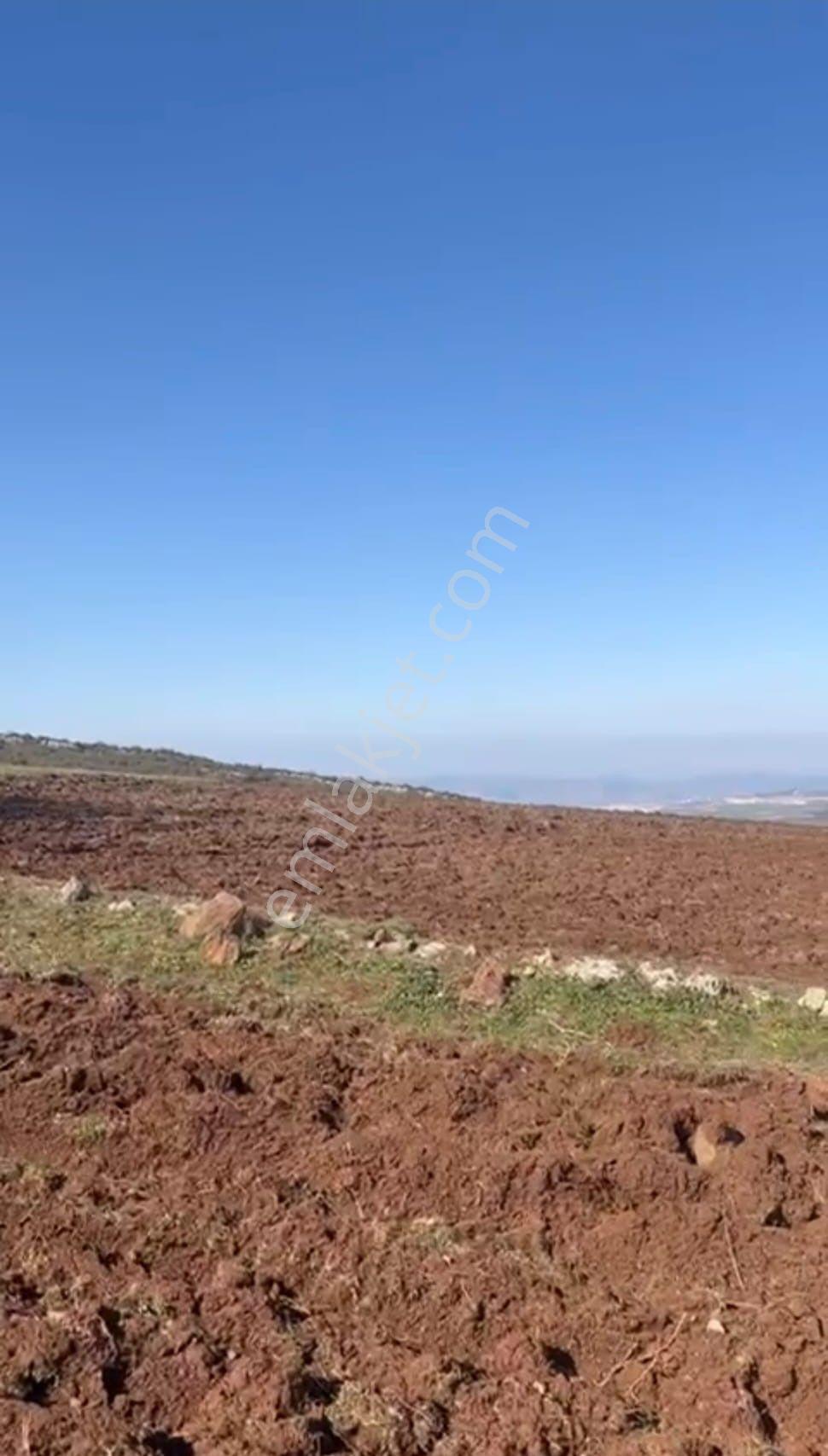Akbıyık'ta Satılık 1326 M2 Hobi Bahçesi !!! Fırsat Tarla !!! - Görsel 2
