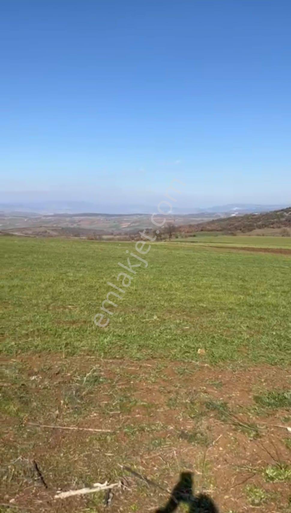 Akbıyık'ta Satılık 1326 M2 Hobi Bahçesi !!! Fırsat Tarla !!! - Görsel 3