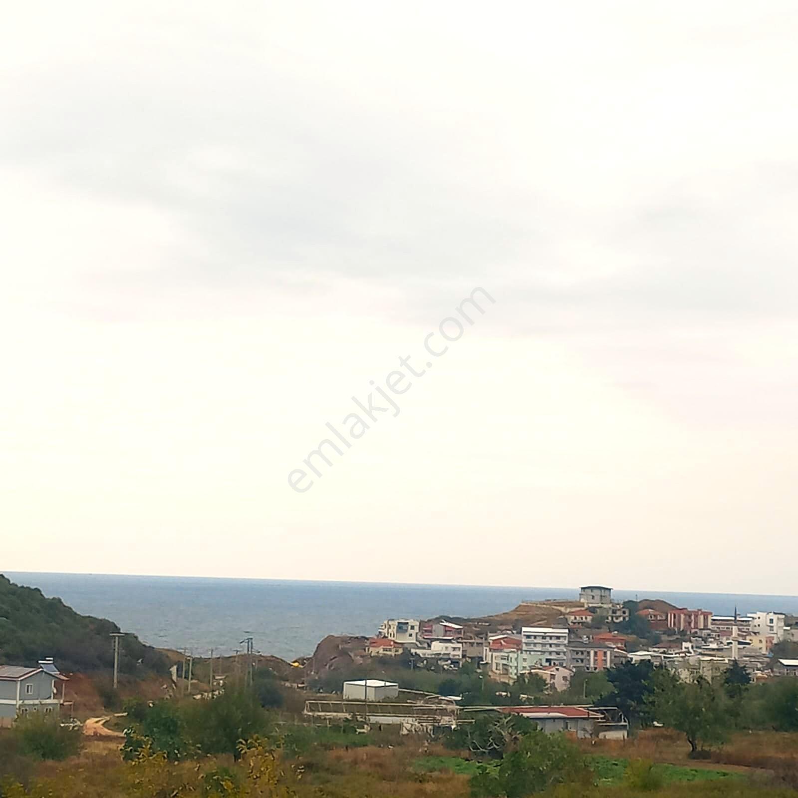 Bandırma Sahilyenice' De 1.411 M2 Deniz Manzaralı Satılık Arazi - Görsel 3