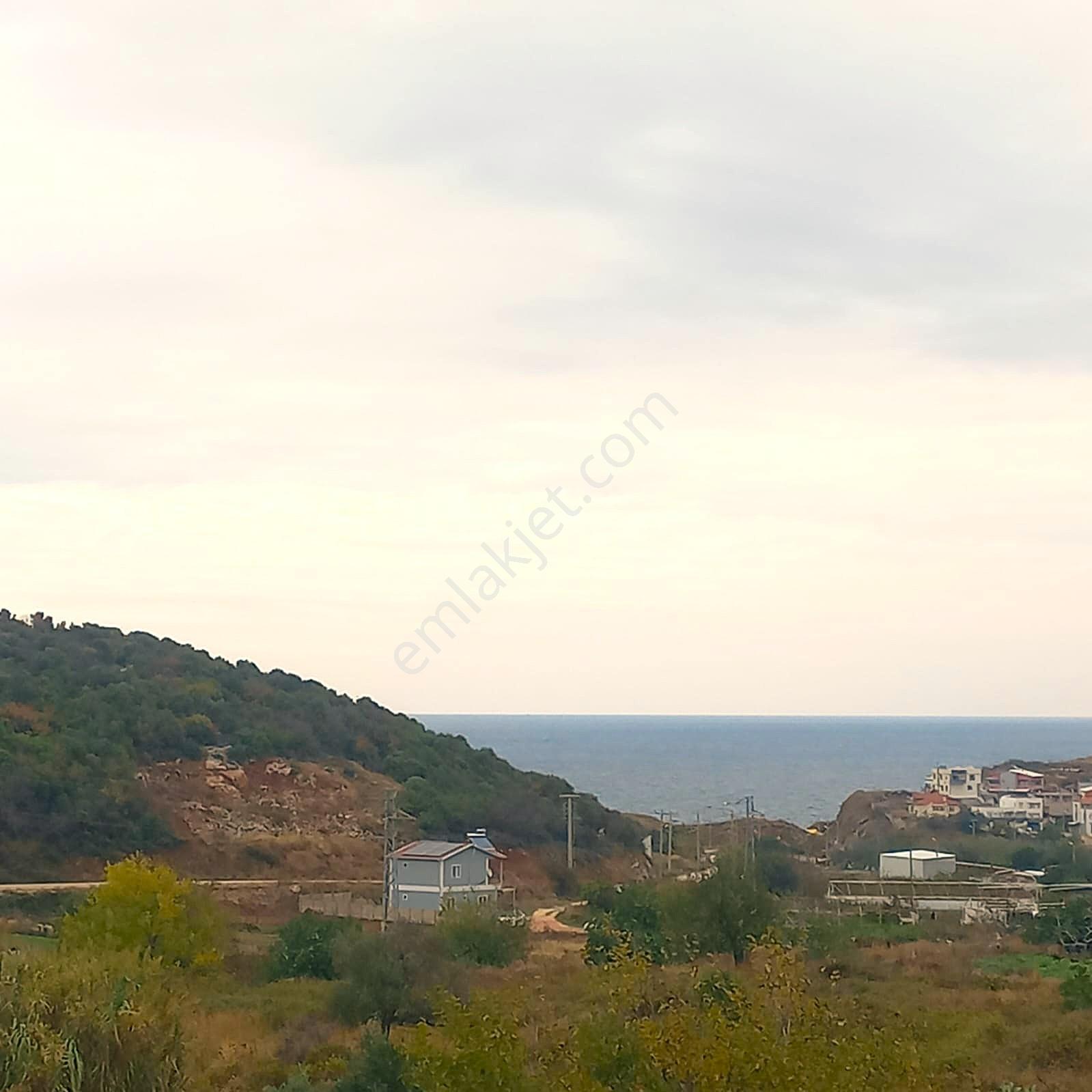 Bandırma Sahilyenice' De 1.411 M2 Deniz Manzaralı Satılık Arazi - Görsel 2
