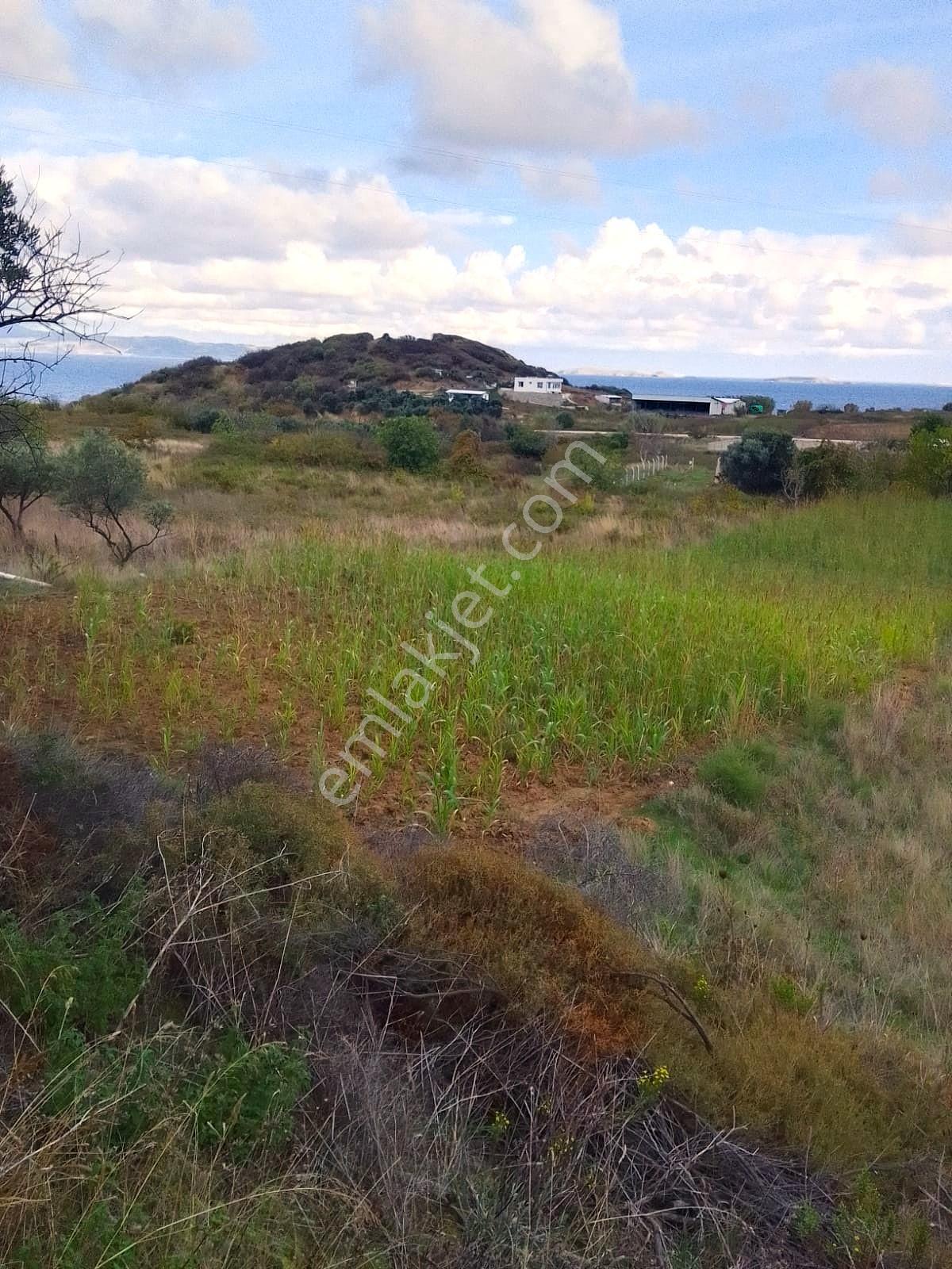 Bandırma Sahilyenice' De 1.411 M2 Deniz Manzaralı Satılık Arazi - Görsel 24