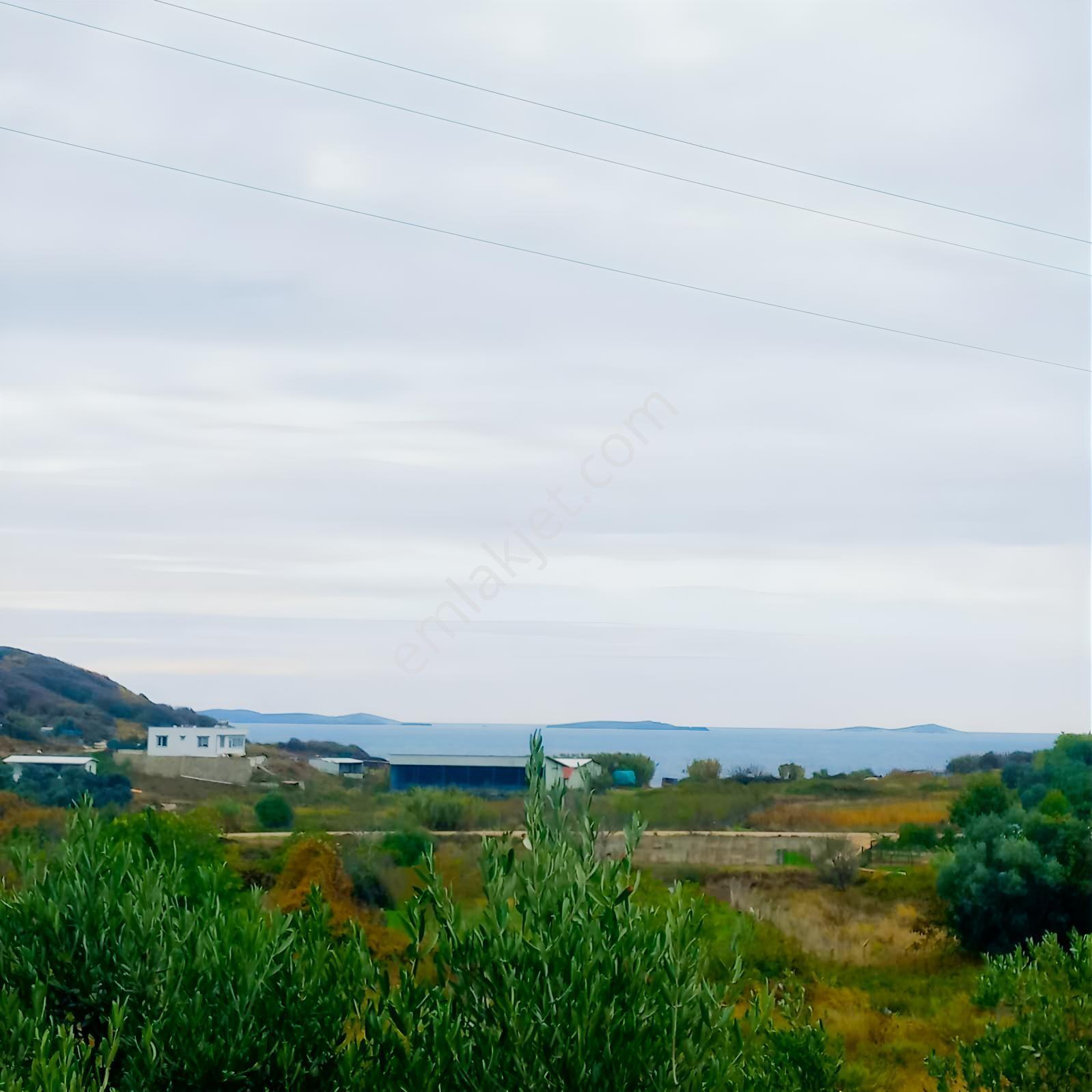 Bandırma Sahilyenice' De 1.411 M2 Deniz Manzaralı Satılık Arazi - Görsel 7