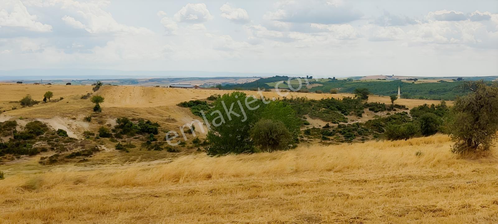 Takasa Uygun İmara Yakın Hayrabolu Cambazdere 1.290 M² Tek Tapu - Görsel 8