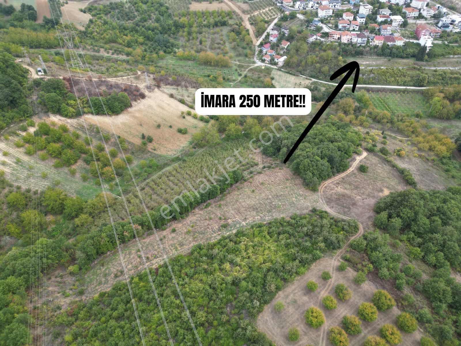 Remax Vira'dan Göl Manzaralı 4449m2 Tarla