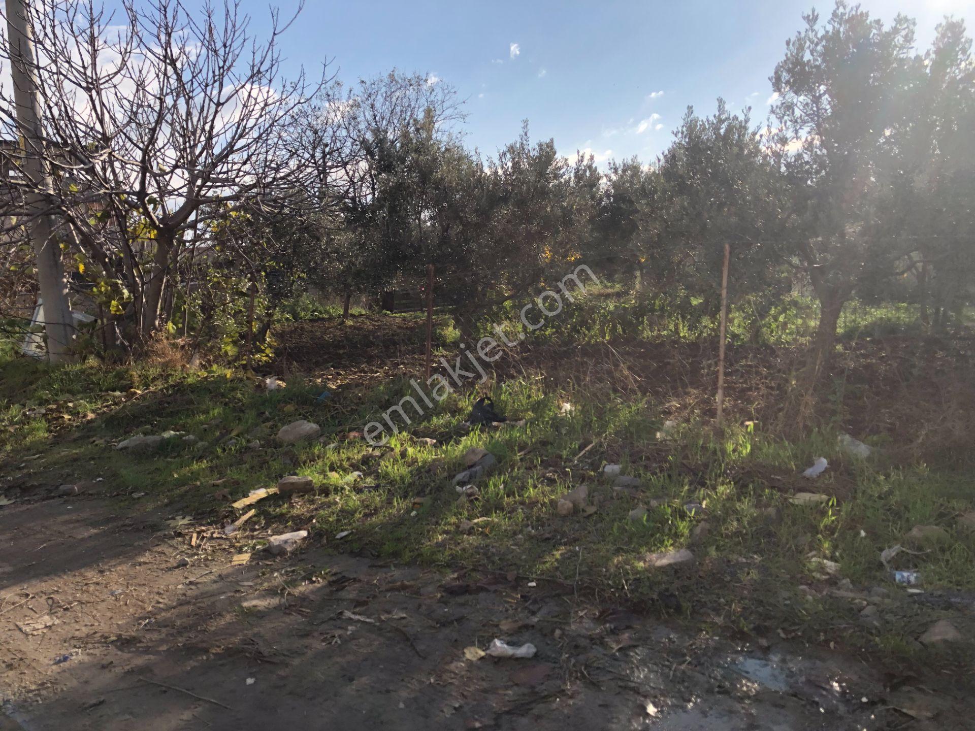 Şarköy De Işık Emlaltan İstiklal Mah De 1054 M2 0/10 İmarlı Arsa - Görsel 11