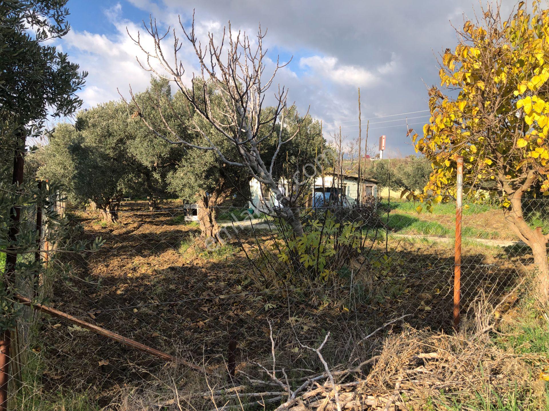 Şarköy De Işık Emlaltan İstiklal Mah De 1054 M2 0/10 İmarlı Arsa - Görsel 8