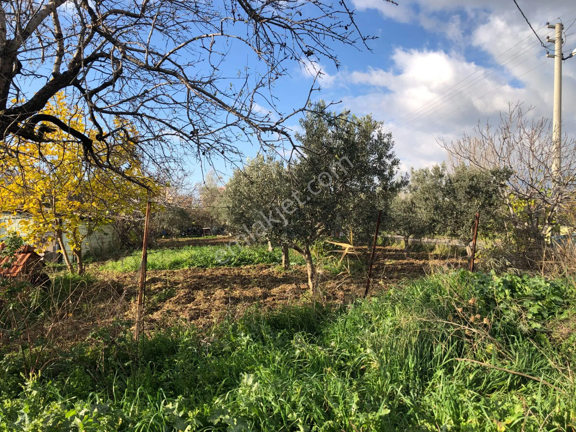 Şarköy De Işık Emlaltan İstiklal Mah De 1054 M2 0/10 İmarlı Arsa - Görsel 2