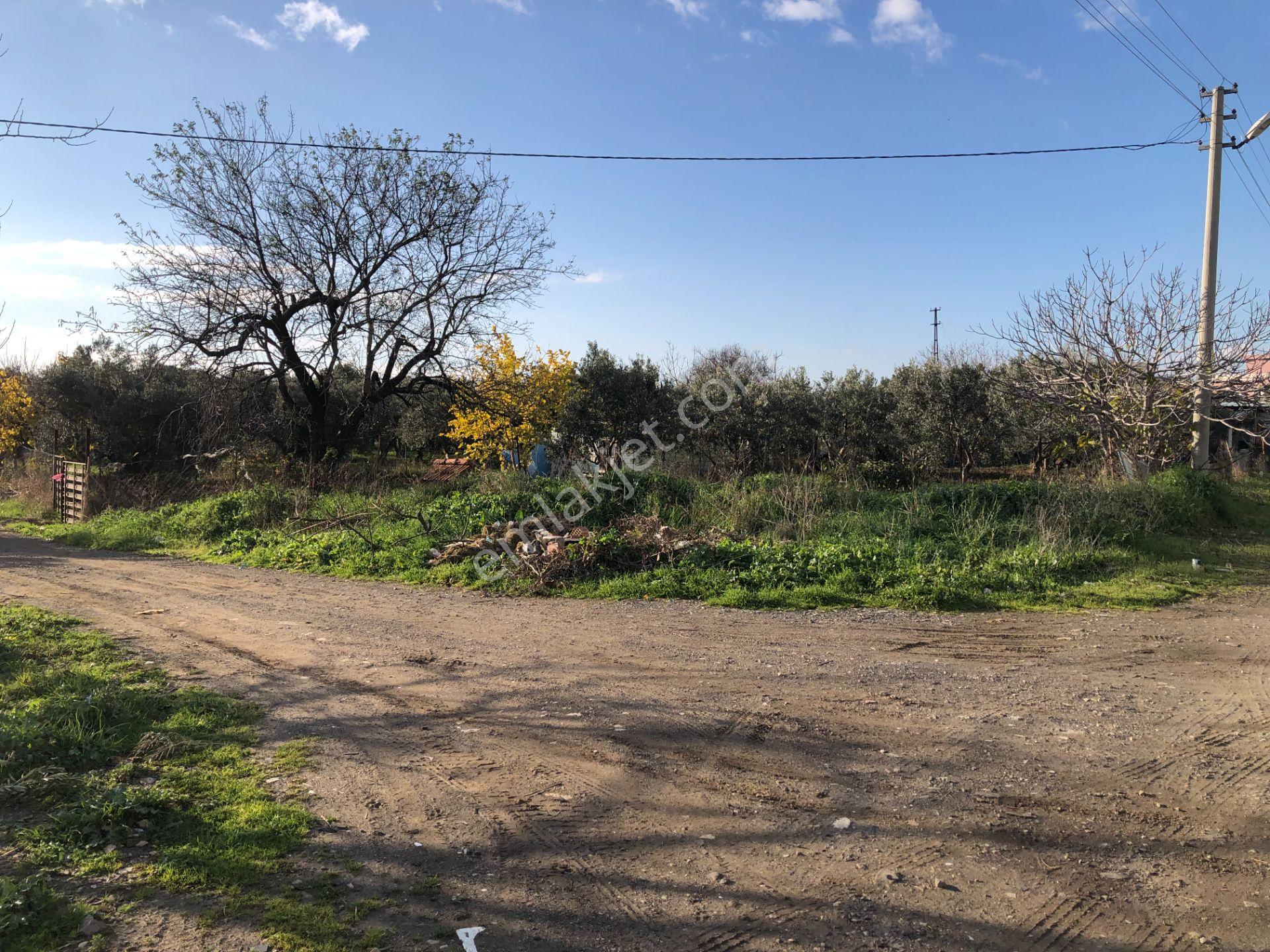Şarköy De Işık Emlaltan İstiklal Mah De 1054 M2 0/10 İmarlı Arsa - Görsel 14