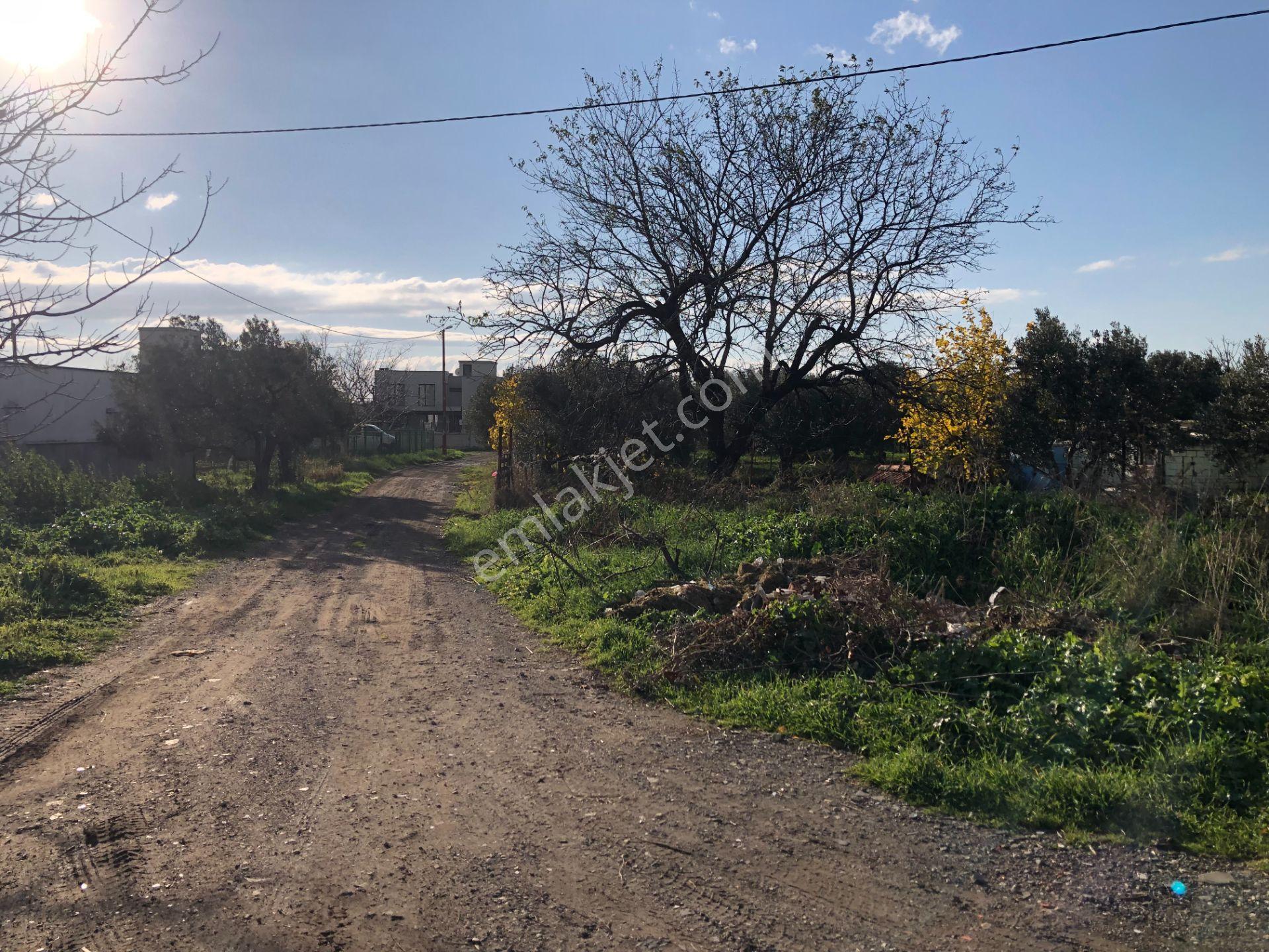 Şarköy De Işık Emlaltan İstiklal Mah De 1054 M2 0/10 İmarlı Arsa - Görsel 17