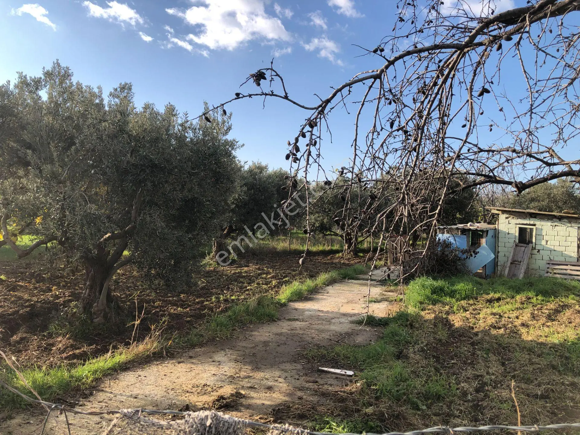 Şarköy De Işık Emlaltan İstiklal Mah De 1054 M2 0/10 İmarlı Arsa - Görsel 3