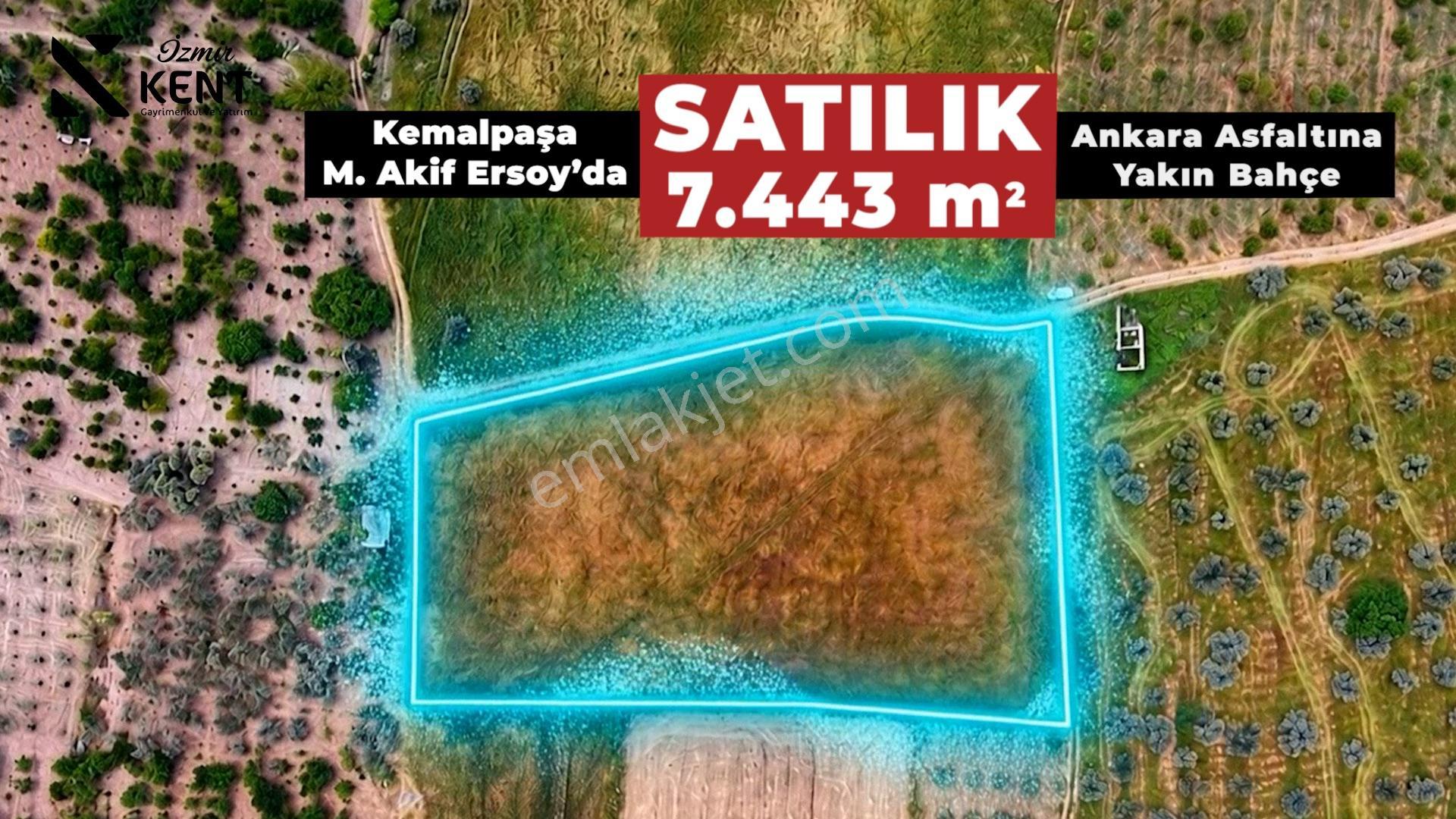 Kemalpaşa Mehmet Akif Ersoy Satılık 7.443m2 Bahçe - Görsel 3