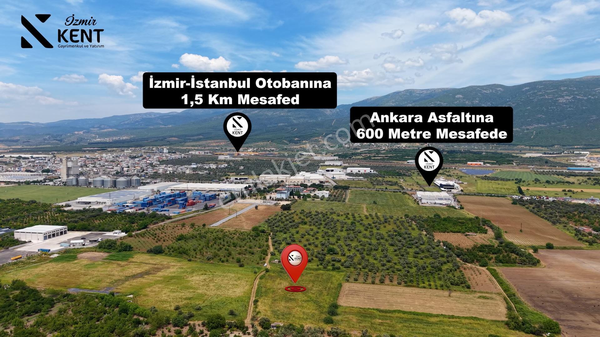 Kemalpaşa Mehmet Akif Ersoy Satılık 7.443m2 Bahçe - Görsel 6