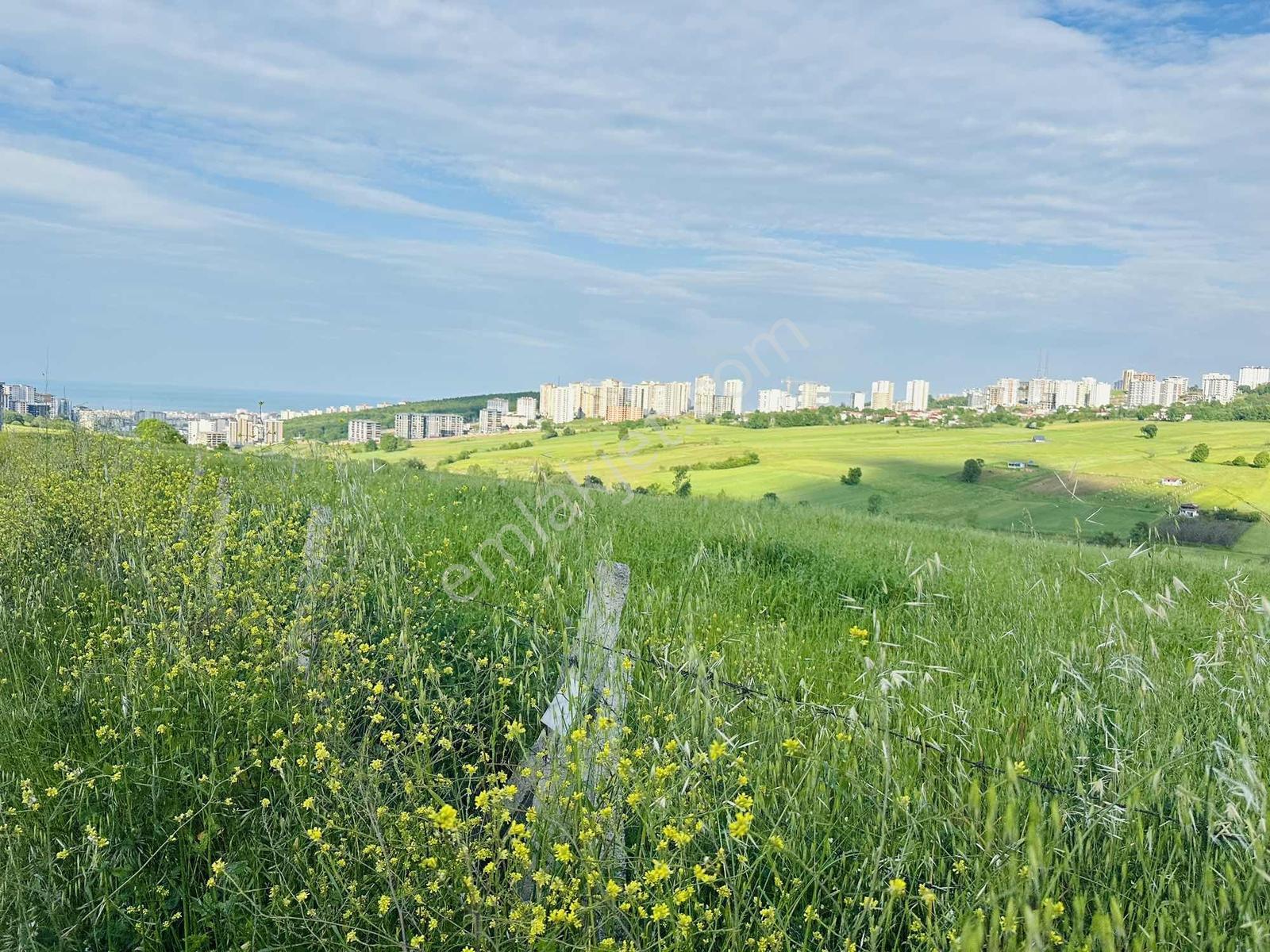 Kamalı'da Deniz Manzaralı 470 Metre² Hisseli Arsa - Görsel 9
