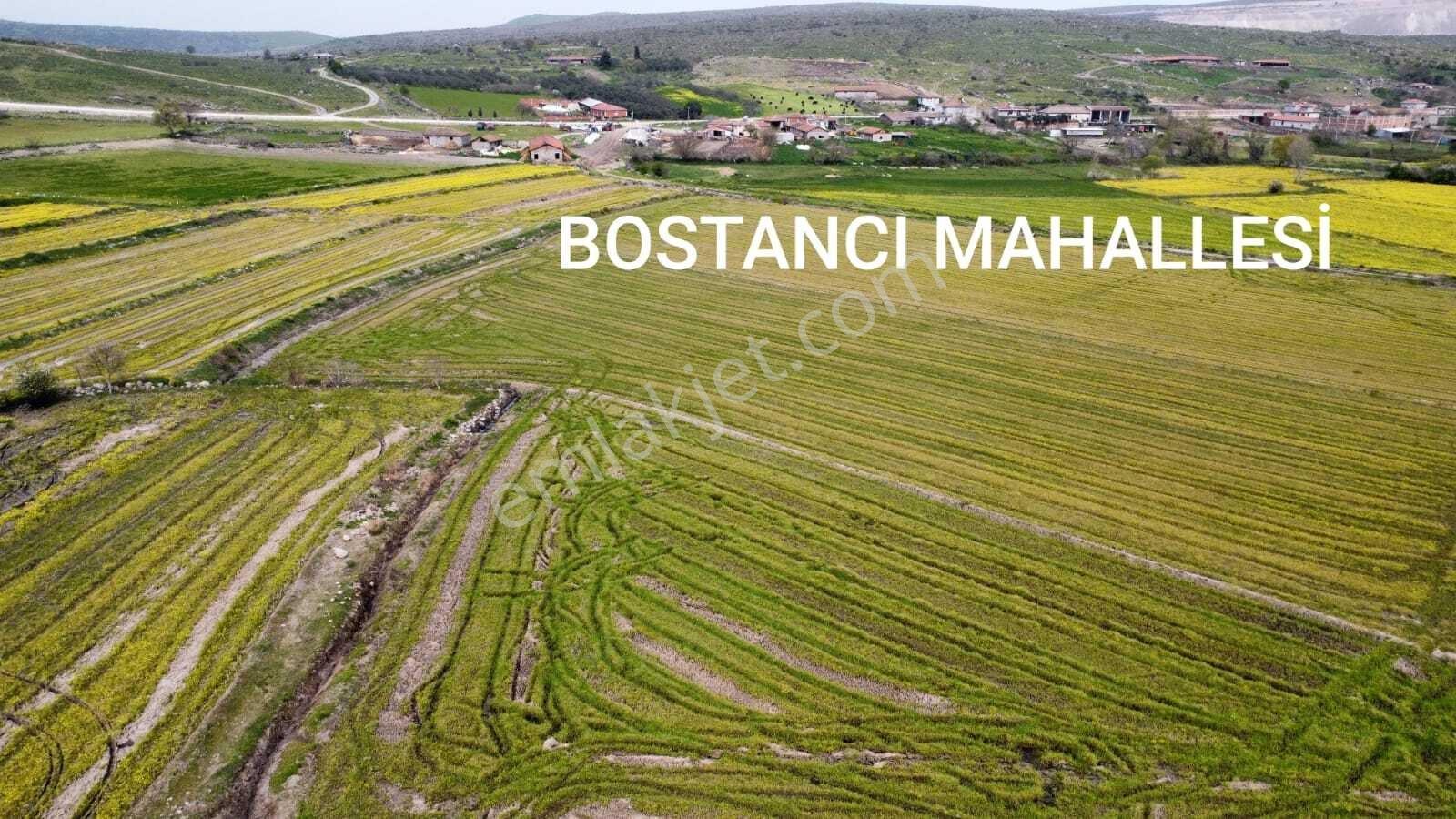 Balıkesir Gönen Bostancı Mahallesi Satilik Çeltik Tarlası - Görsel 5