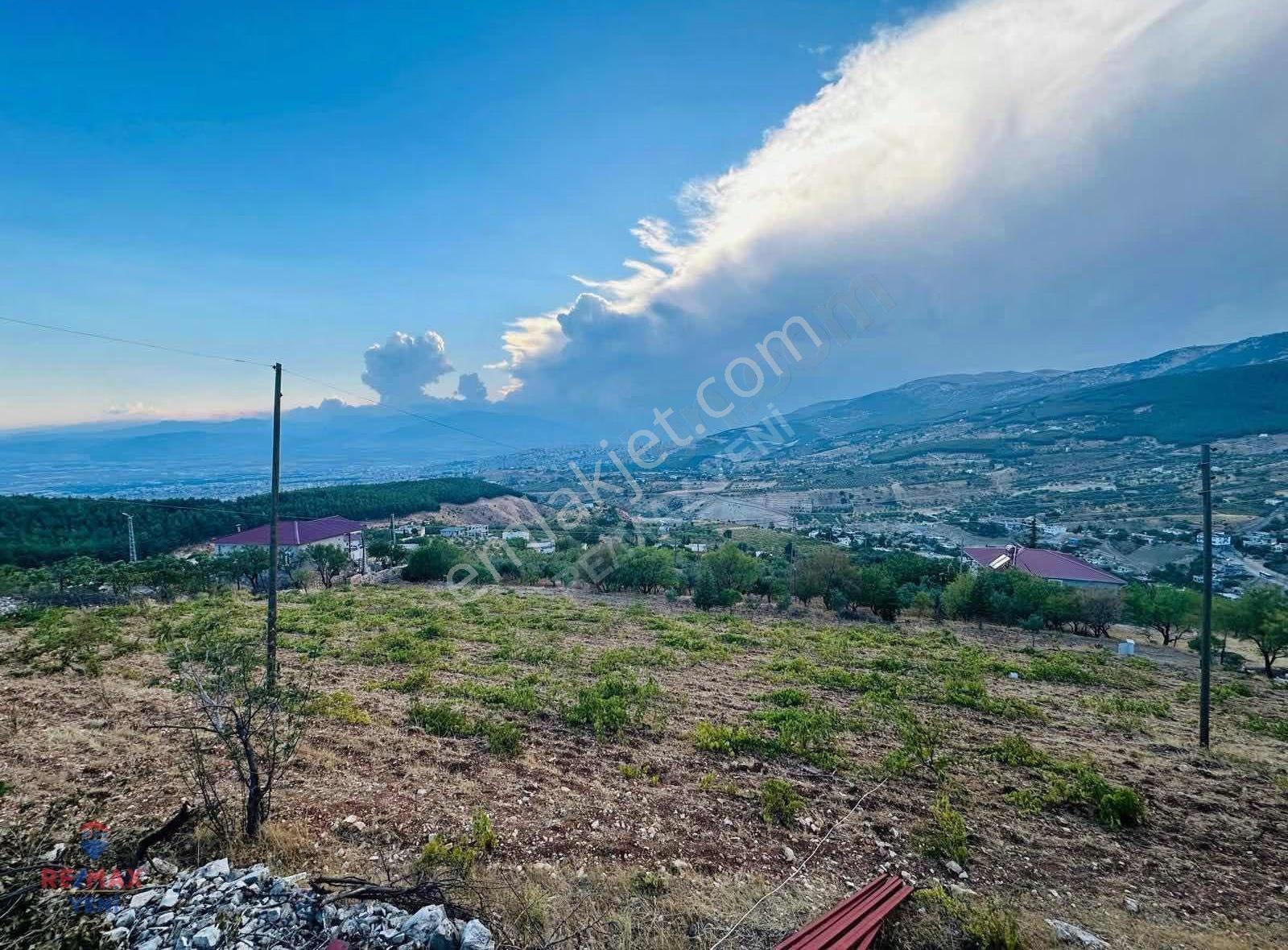 Dulkadiroğlu'nda Kaynak Sulu 3230 M² Satılık Bağ - Görsel 5