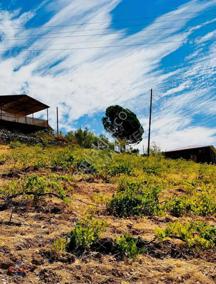 Dulkadiroğlu'nda Kaynak Sulu 3230 M² Satılık Bağ - Görsel 13