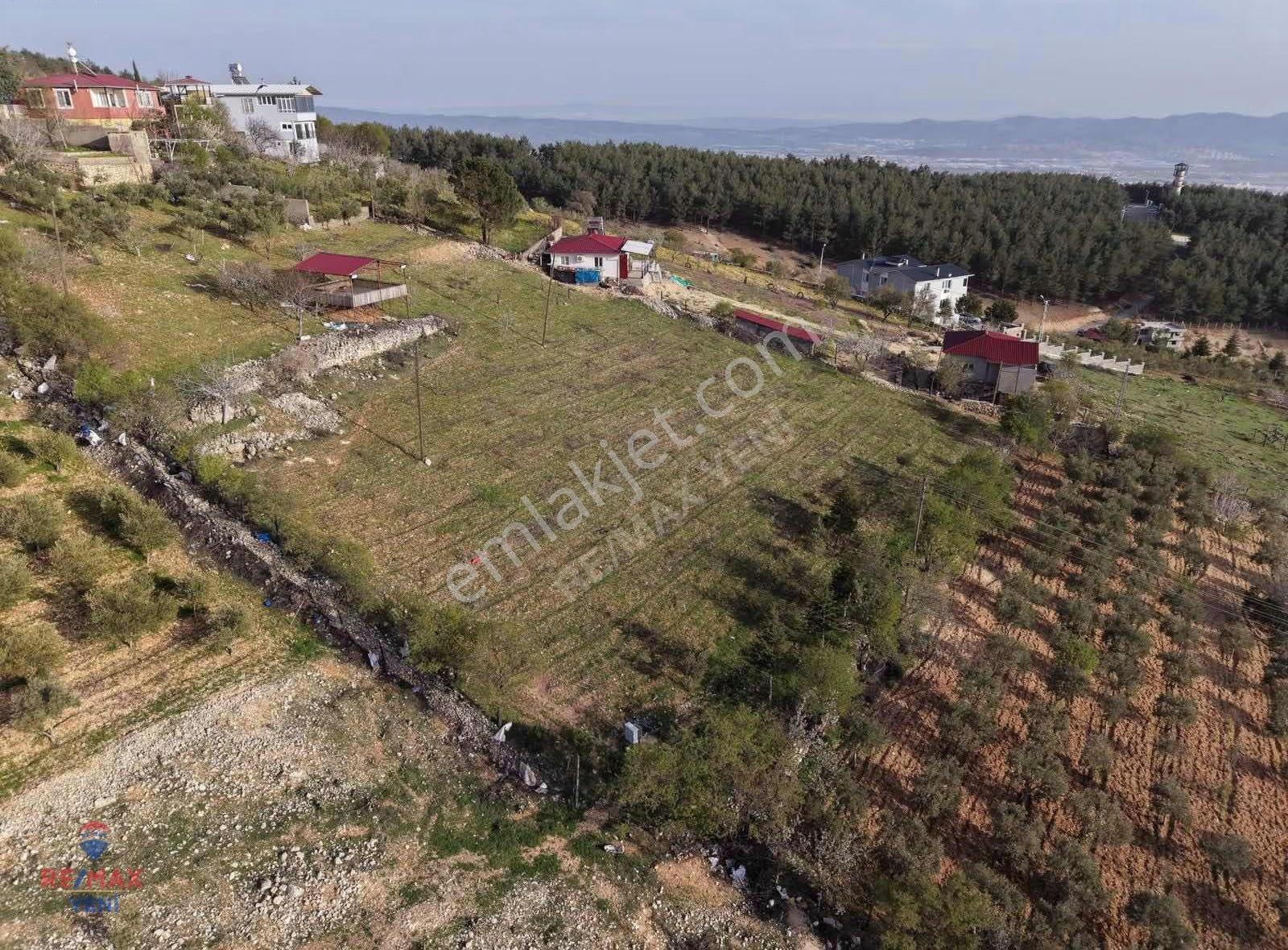 Dulkadiroğlu'nda Kaynak Sulu 3230 M² Satılık Bağ - Görsel 17