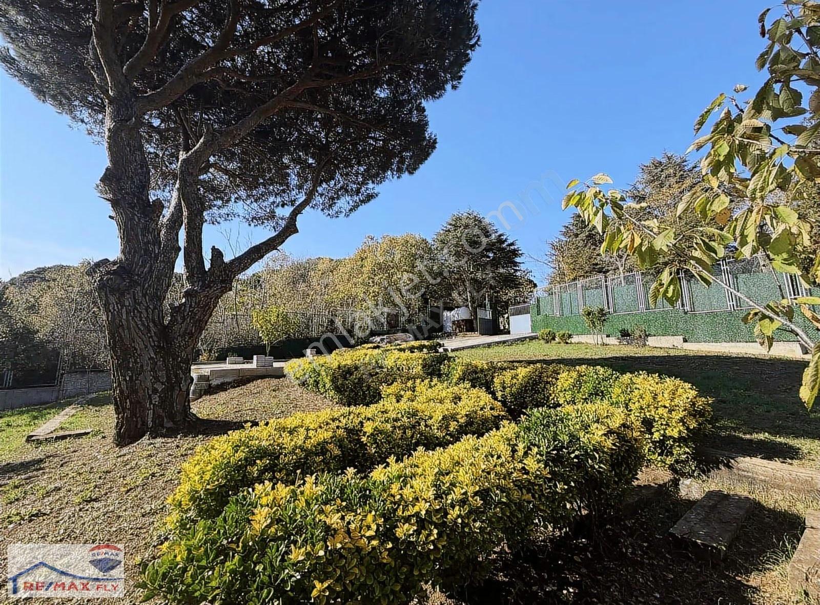 Tarabya Sümer Korusunda Müstakil Arsa - Görsel 10