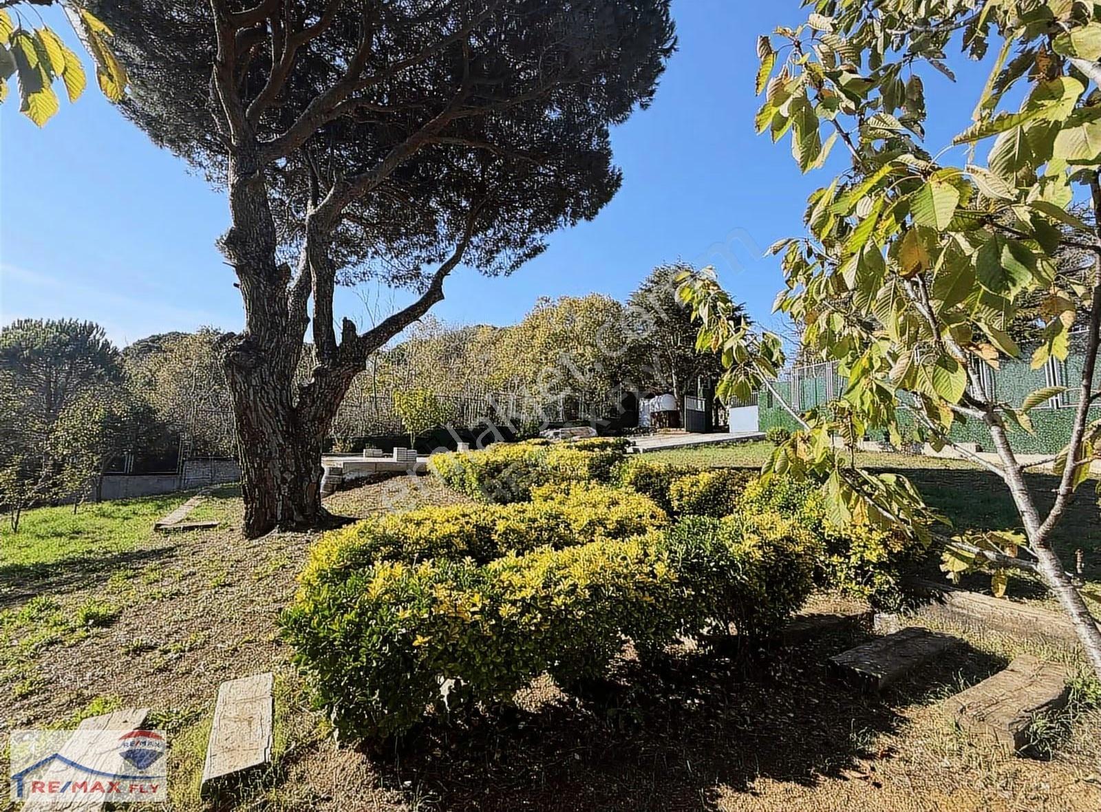 Tarabya Sümer Korusunda Müstakil Arsa - Görsel 12