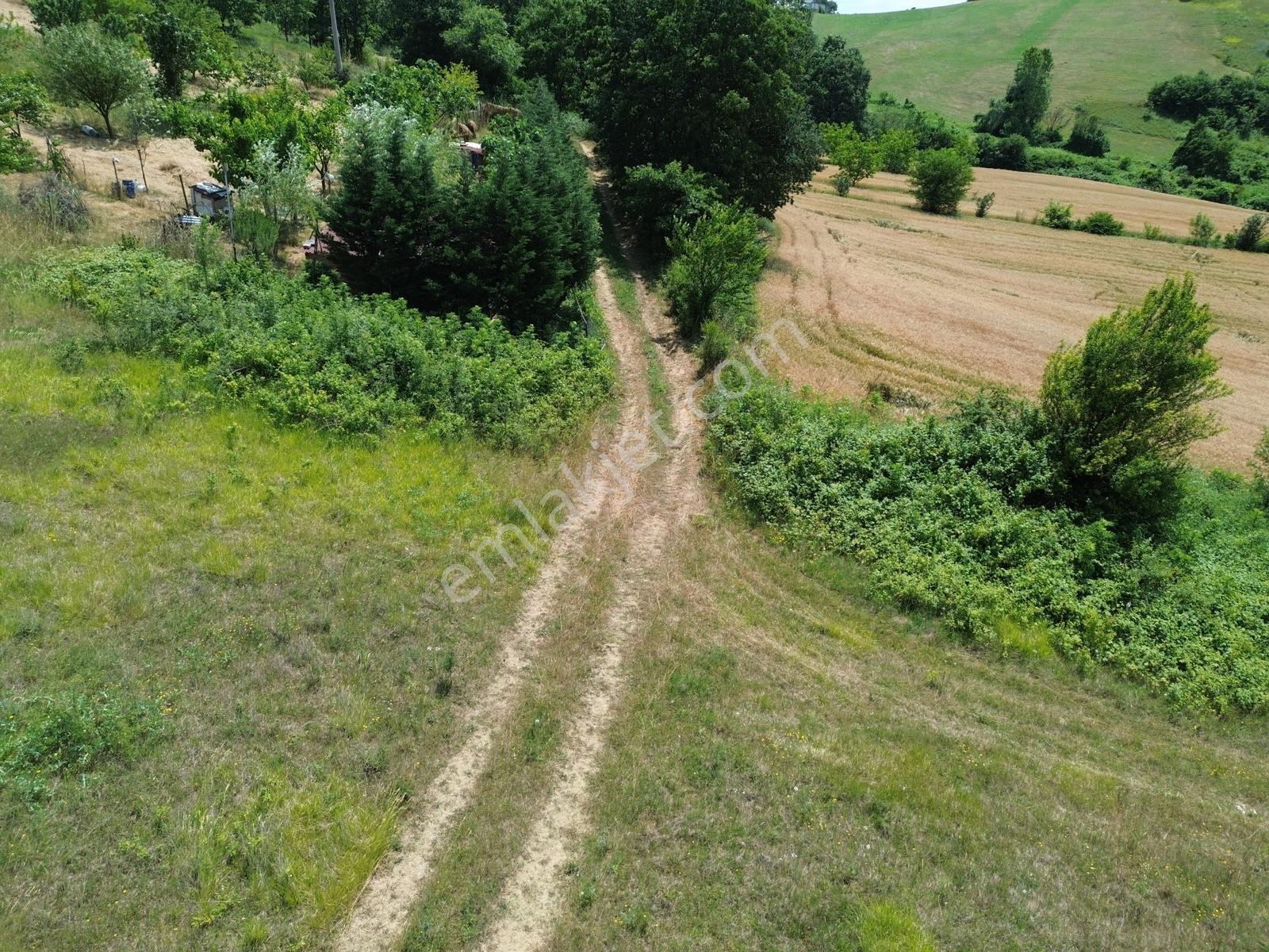 Kandıra Hıdırlar Mah Merkezi Konum Satılık Yolu Olan Uygun Tarla - Görsel 17