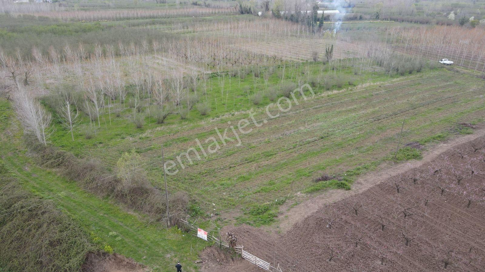 Akgün Kurumsal'dan Çarşamba'da 4,818 M2 Satılık Arsa - Görsel 24