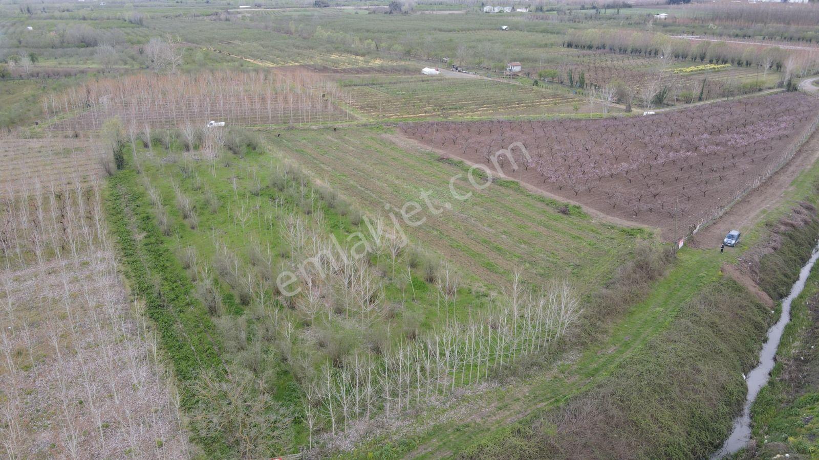 Akgün Kurumsal'dan Çarşamba'da 4,818 M2 Satılık Arsa - Görsel 23