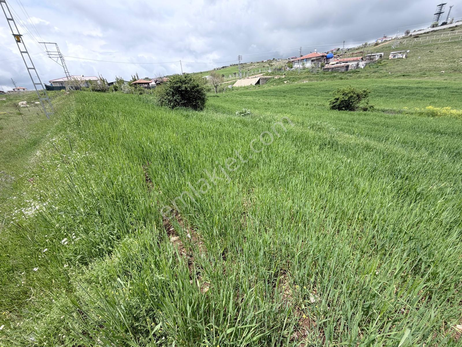 Bağlum Radar Caddesi Üzerinde Tek Tapu Villa Arsası - Görsel 11