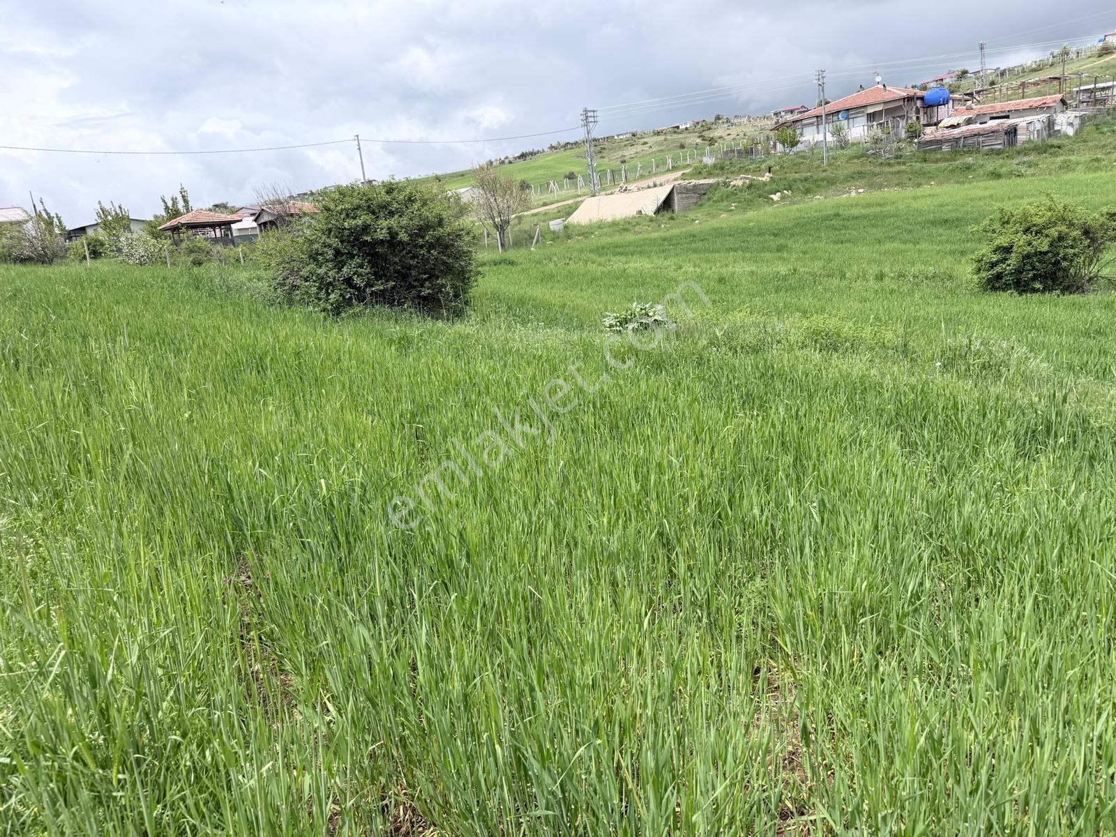 Bağlum Radar Caddesi Üzerinde Tek Tapu Villa Arsası - Görsel 15