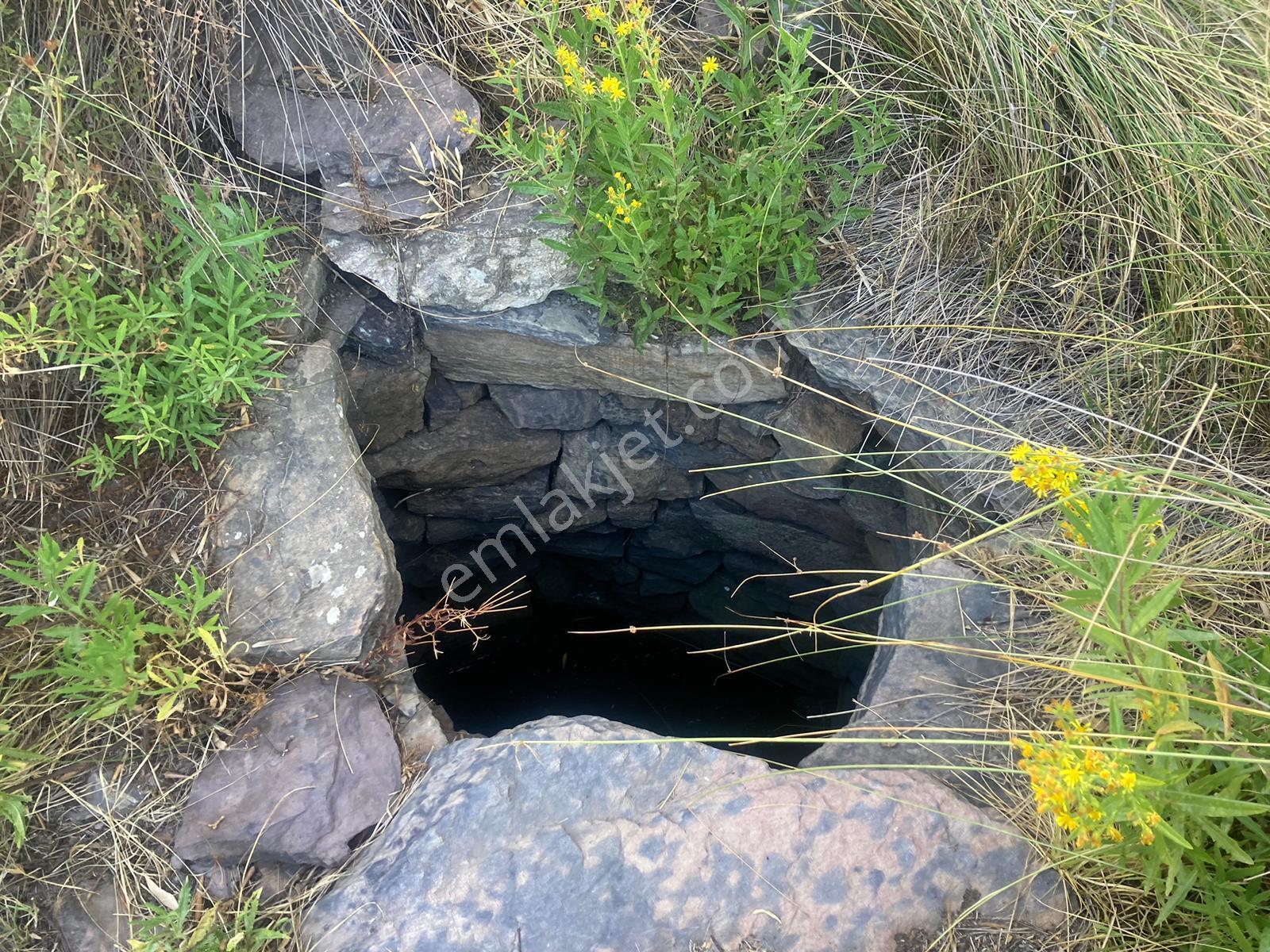 Bodrum'a Yakın, Ege'de Dev Yatırım! 20 Dönüm Zeytinli Tarla - Görsel 6