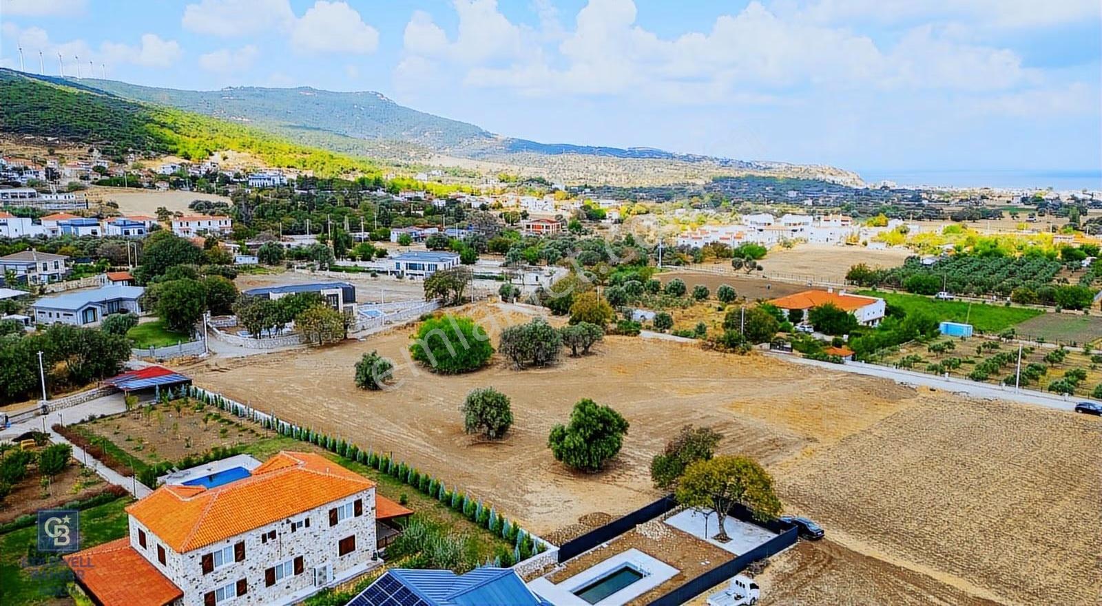 Foça Kozbeyli'de Satılık Tarla - Görsel 15
