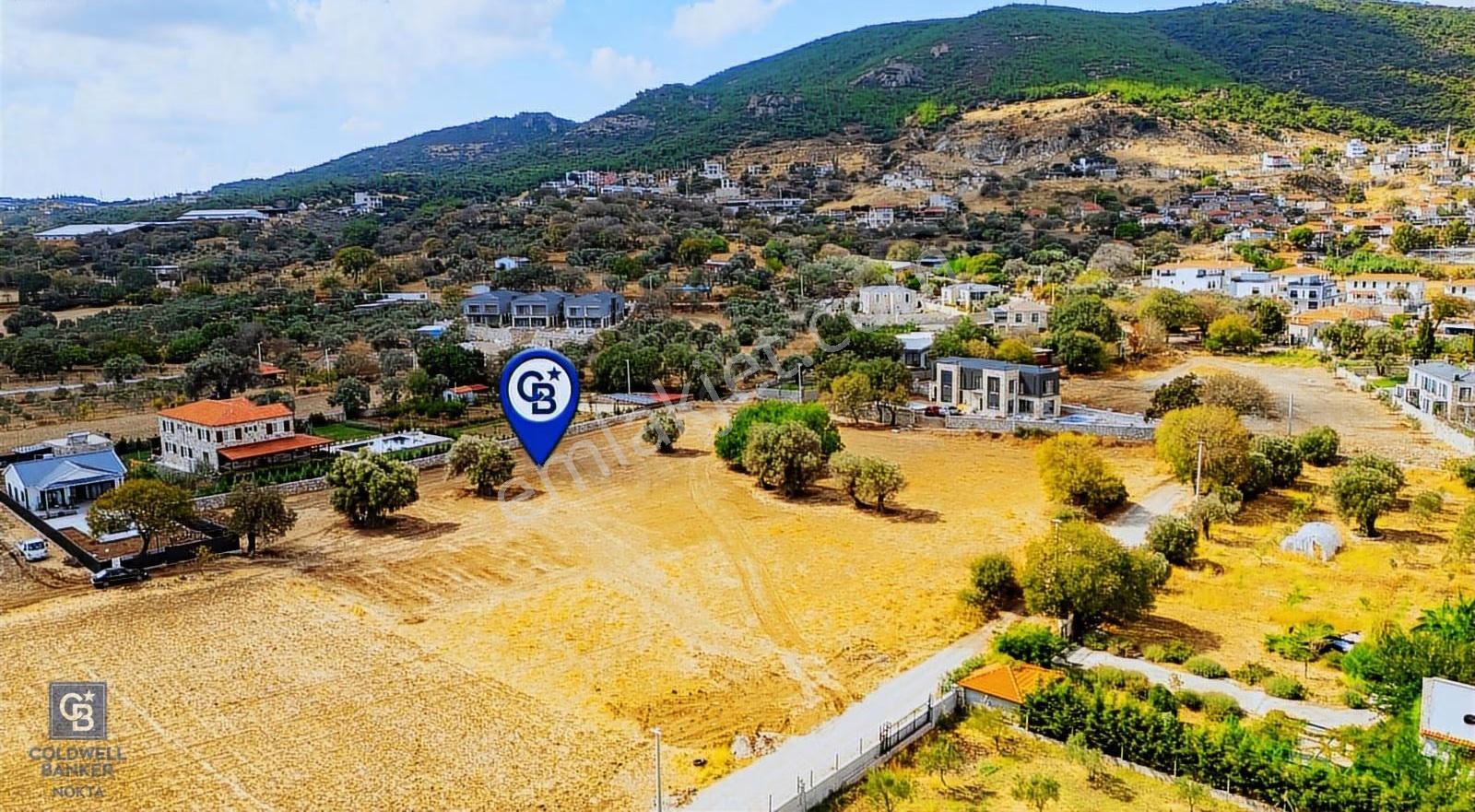 Foça Kozbeyli'de Satılık Tarla - Görsel 11