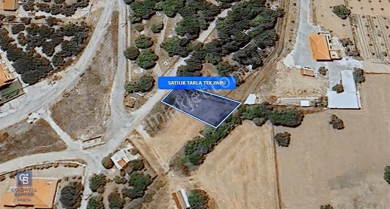 Foça Ilıpınar'da Satılık Müstakil Tapulu Tarla - Görsel 4