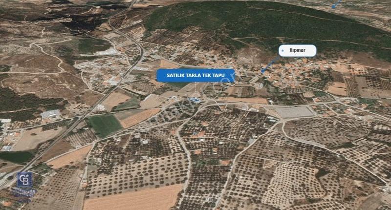 Foça Ilıpınar'da Satılık Müstakil Tapulu Tarla - Görsel 9