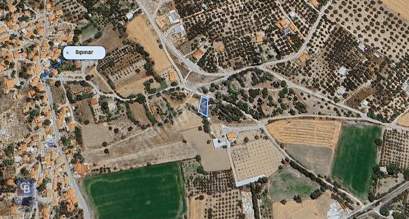 Foça Ilıpınar'da Satılık Müstakil Tapulu Tarla - Görsel 10