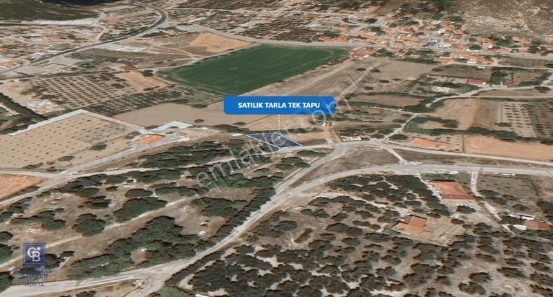 Foça Ilıpınar'da Satılık Müstakil Tapulu Tarla - Görsel 30