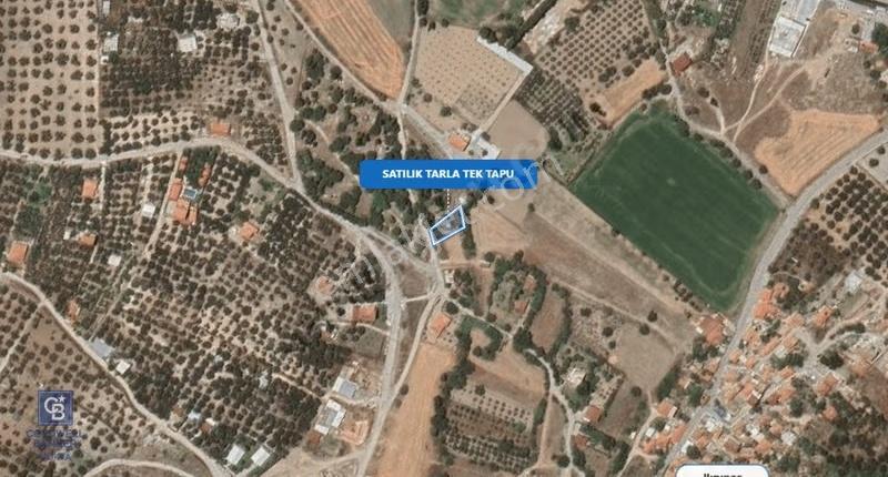 Foça Ilıpınar'da Satılık Müstakil Tapulu Tarla - Görsel 21