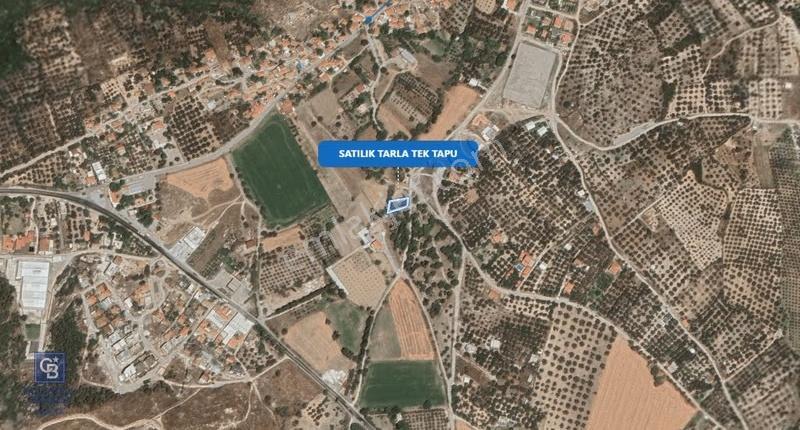 Foça Ilıpınar'da Satılık Müstakil Tapulu Tarla - Görsel 14