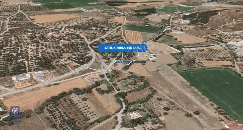 Foça Ilıpınar'da Satılık Müstakil Tapulu Tarla - Görsel 24