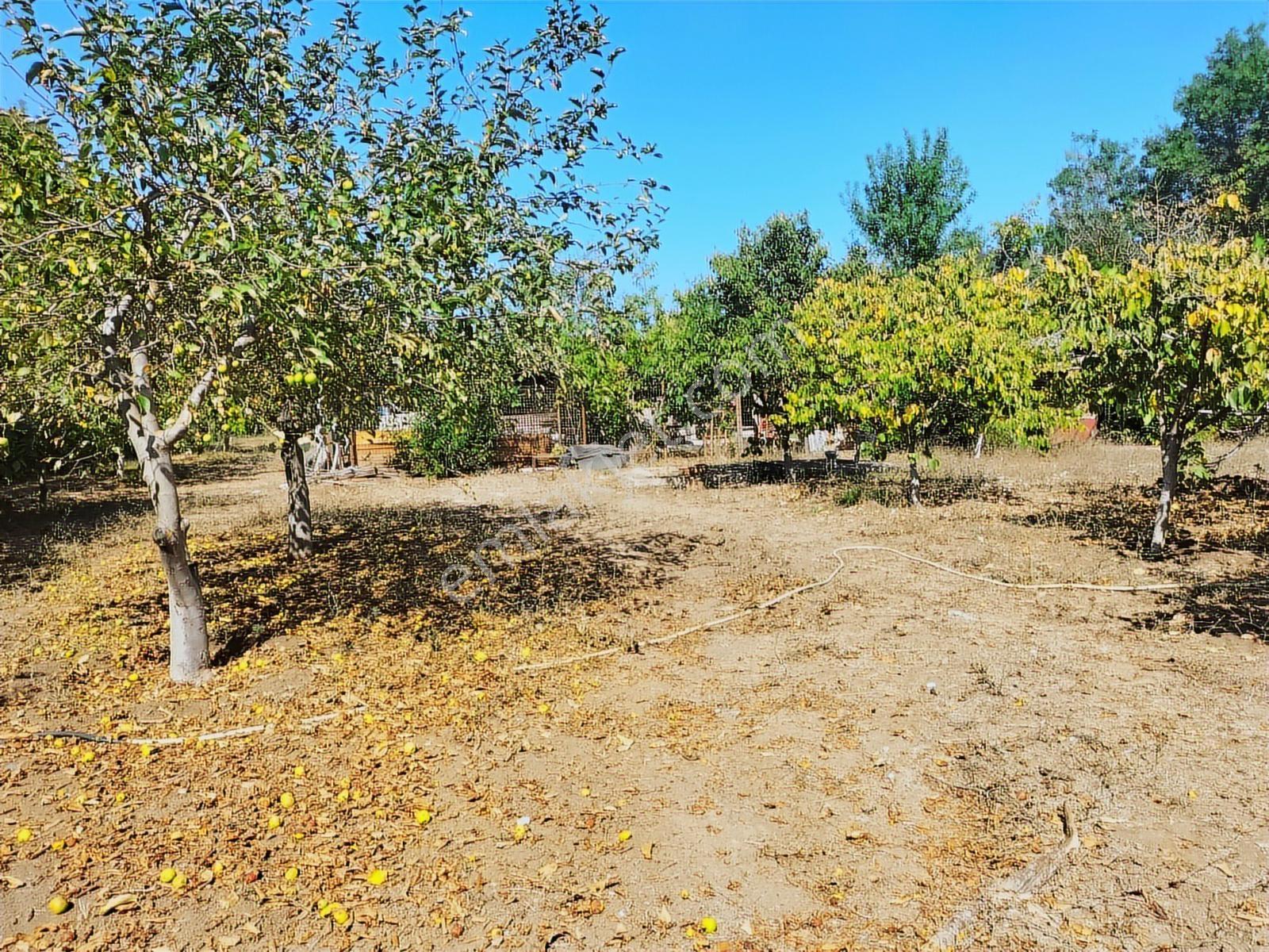 Yetiş Al Dan Kumbaba Şile Oto Yoluna Cephe 3.280 M2 Kiralık Arsa - Görsel 15