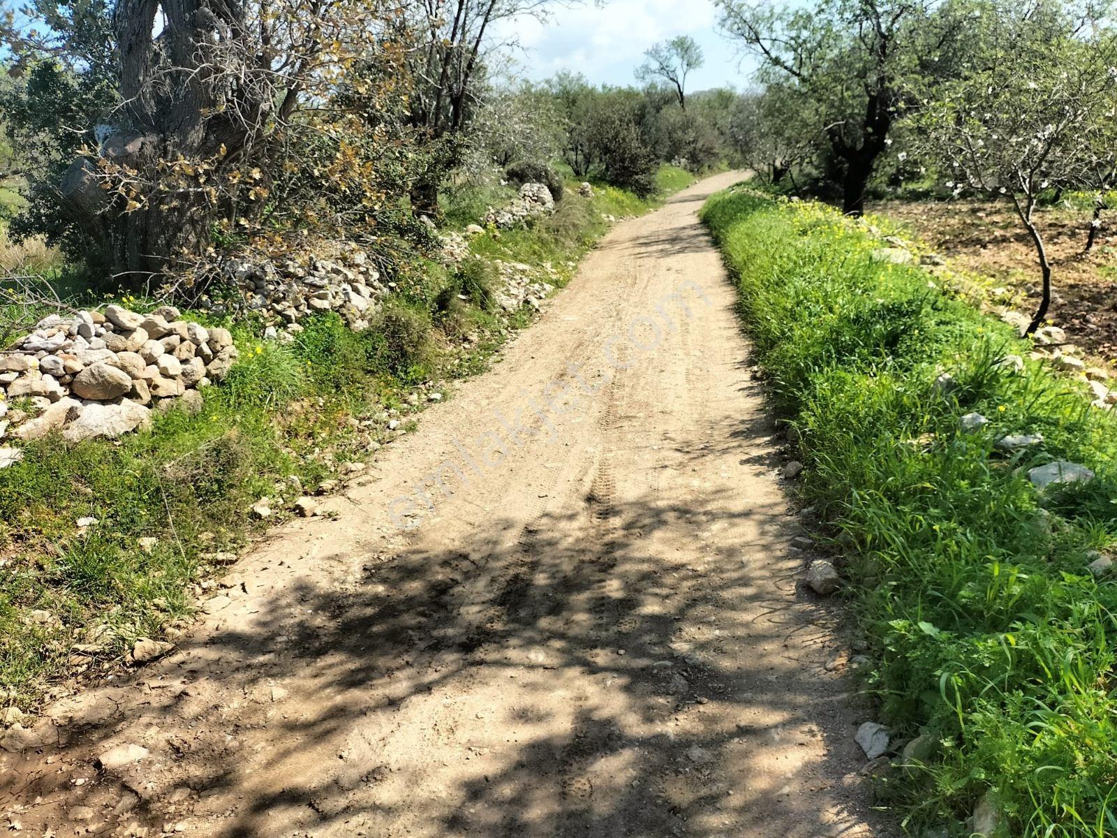 Egenin En Güzel Yeri Datca Da Satılık Bademlik Arsa - Görsel 15