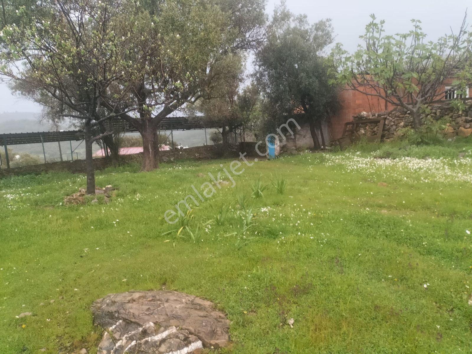 Bodrum Mumcular Yeniköyde Müstakil Rüya Gibi Satılık Konut Baĥçe - Görsel 16