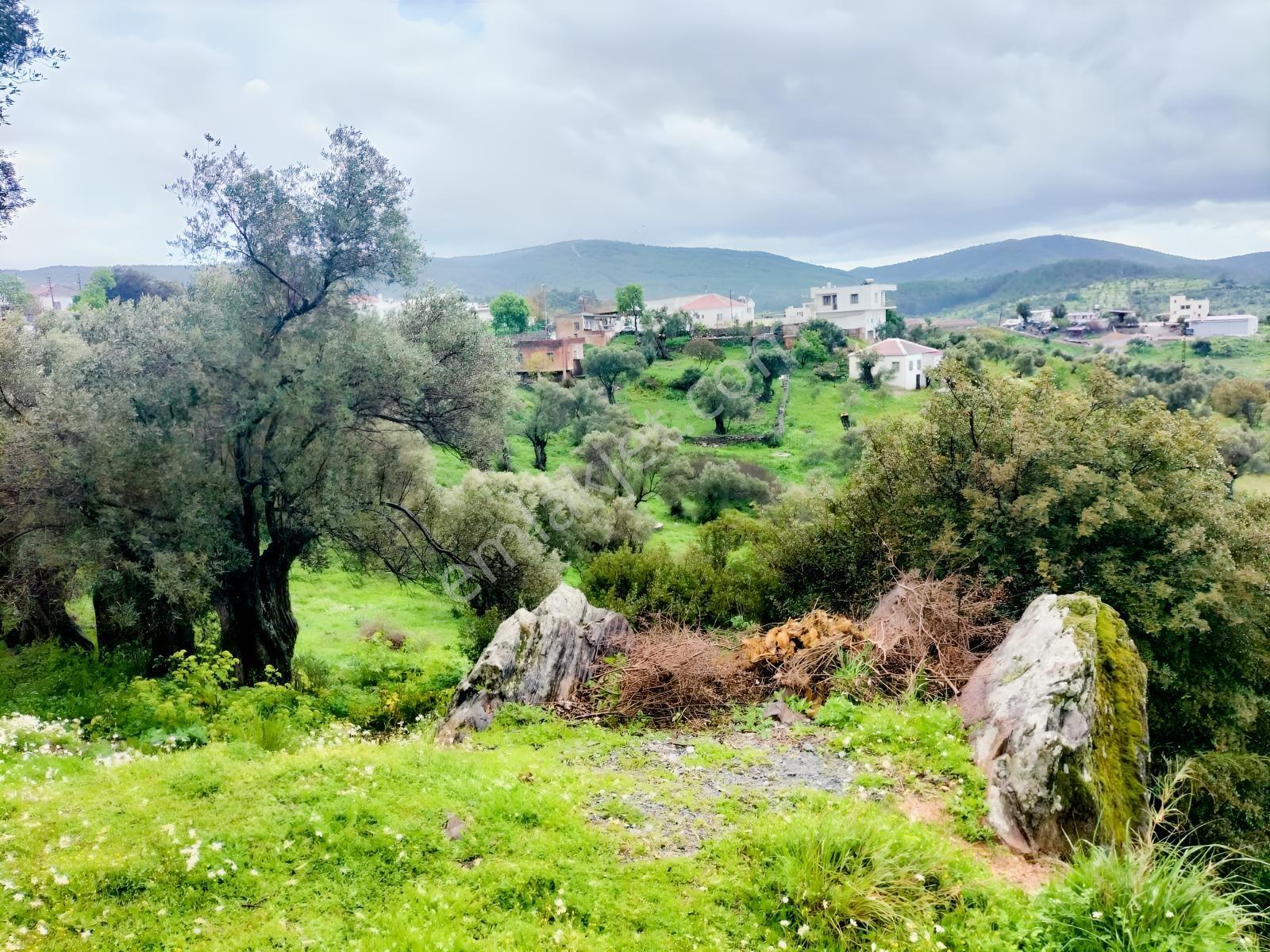 Bodrum Mumcular Yeniköyde Müstakil Rüya Gibi Satılık Konut Baĥçe - Görsel 6