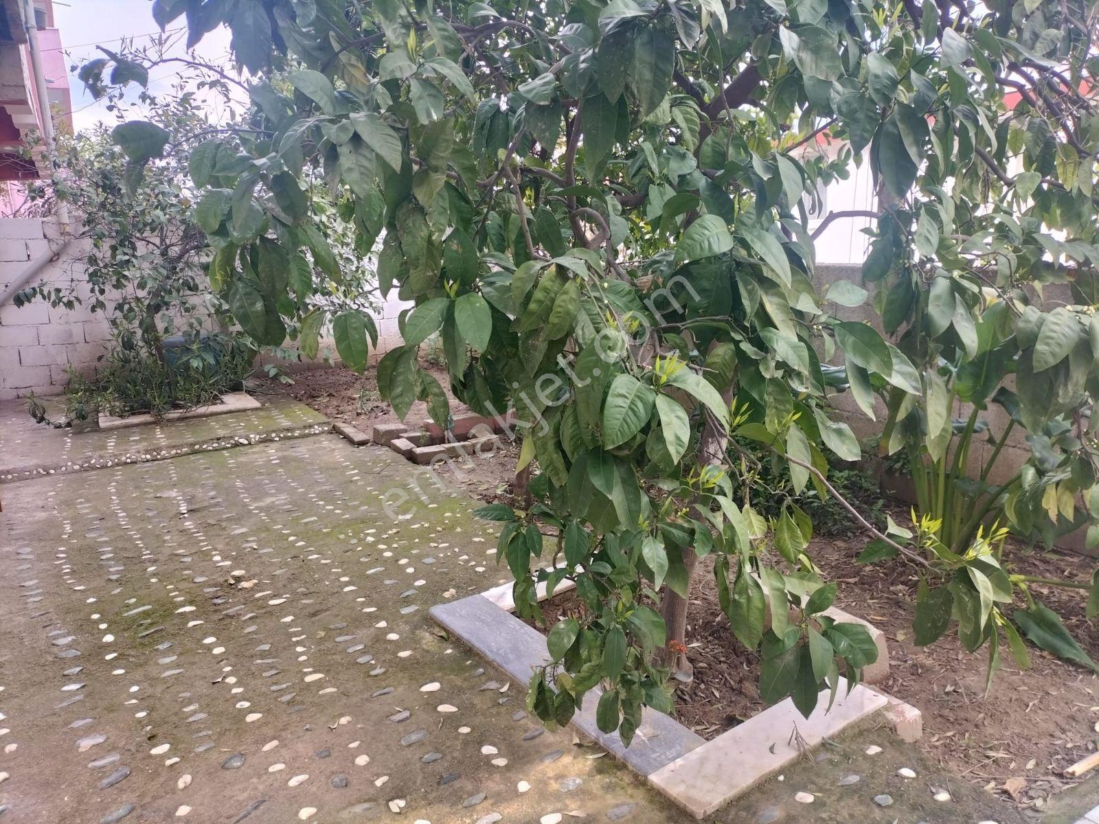 Burgaz Mahallesinde Kiralık Daire - Görsel 11