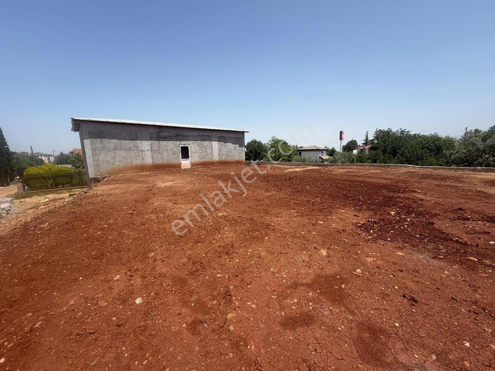 Şehzade'den Yürüyüş Yolu Mevkinde Kiralık İş Yeri Arsa - Görsel 7