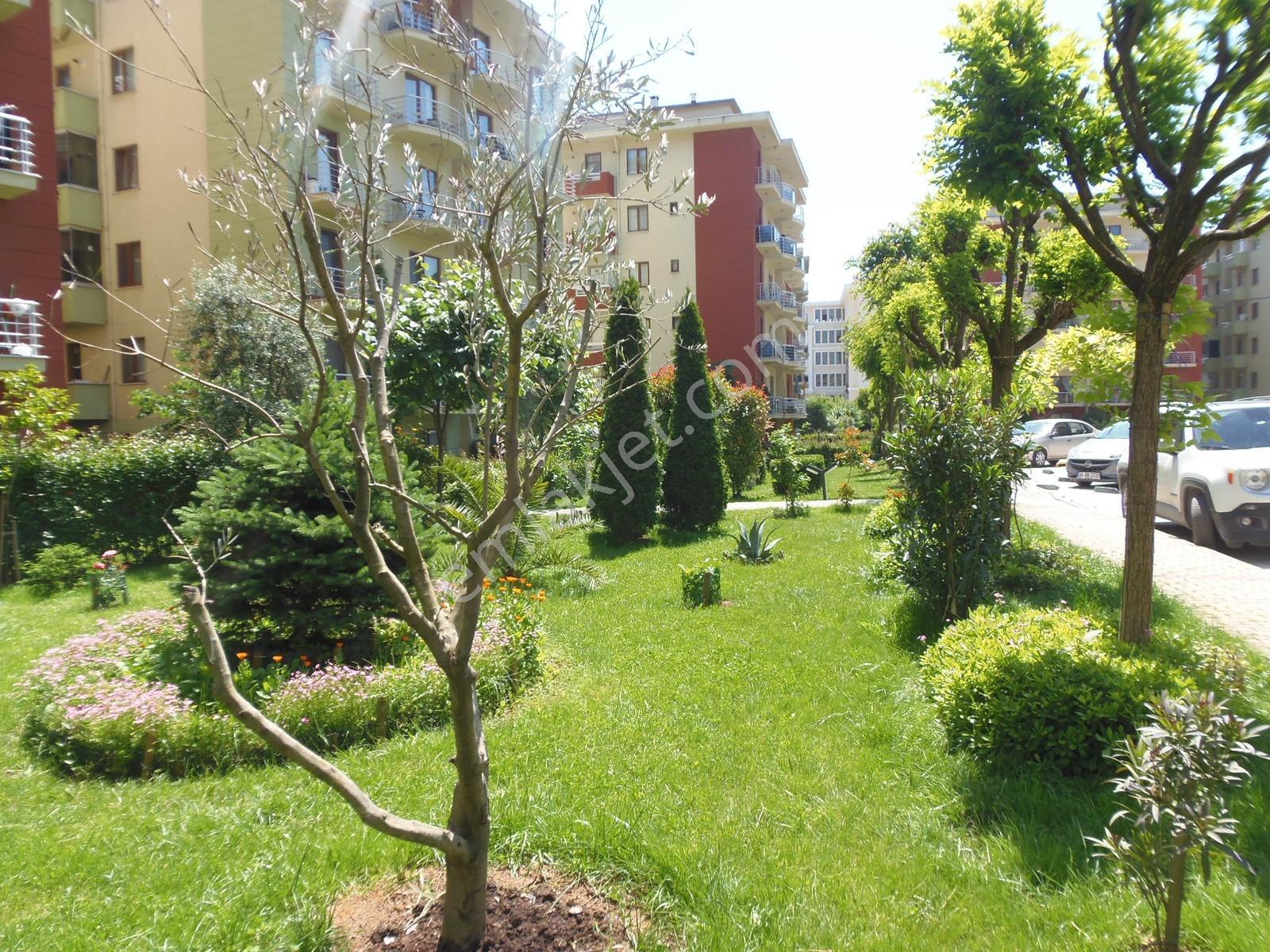Sancaktepe Sarı Evler Çekmeköy Sarıevler Satılık Bakımlı Daire - Görsel 4