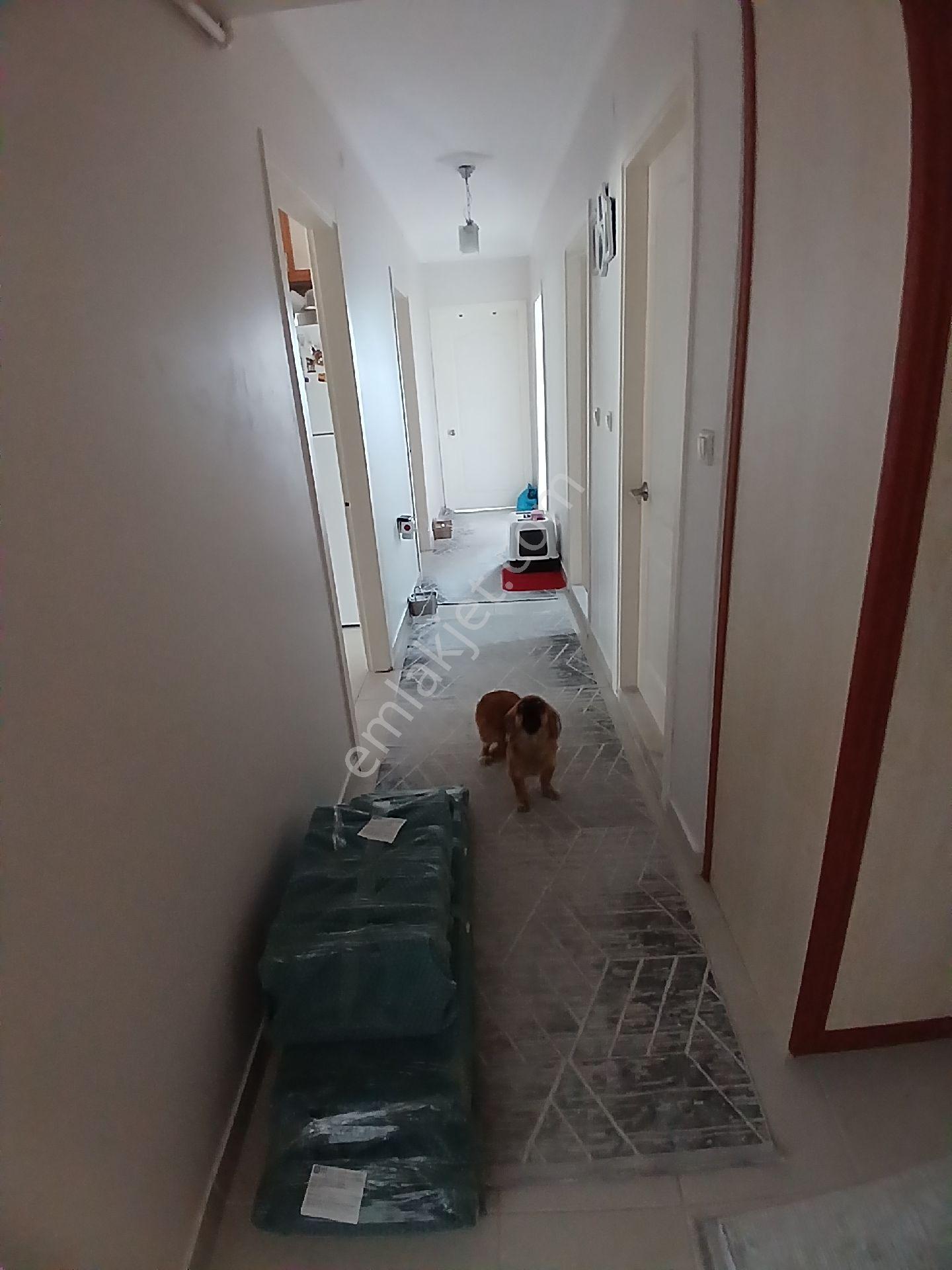 Beşevler Nazar Sitesindekiralık Çiftbalkonlu3+1 - Görsel 20
