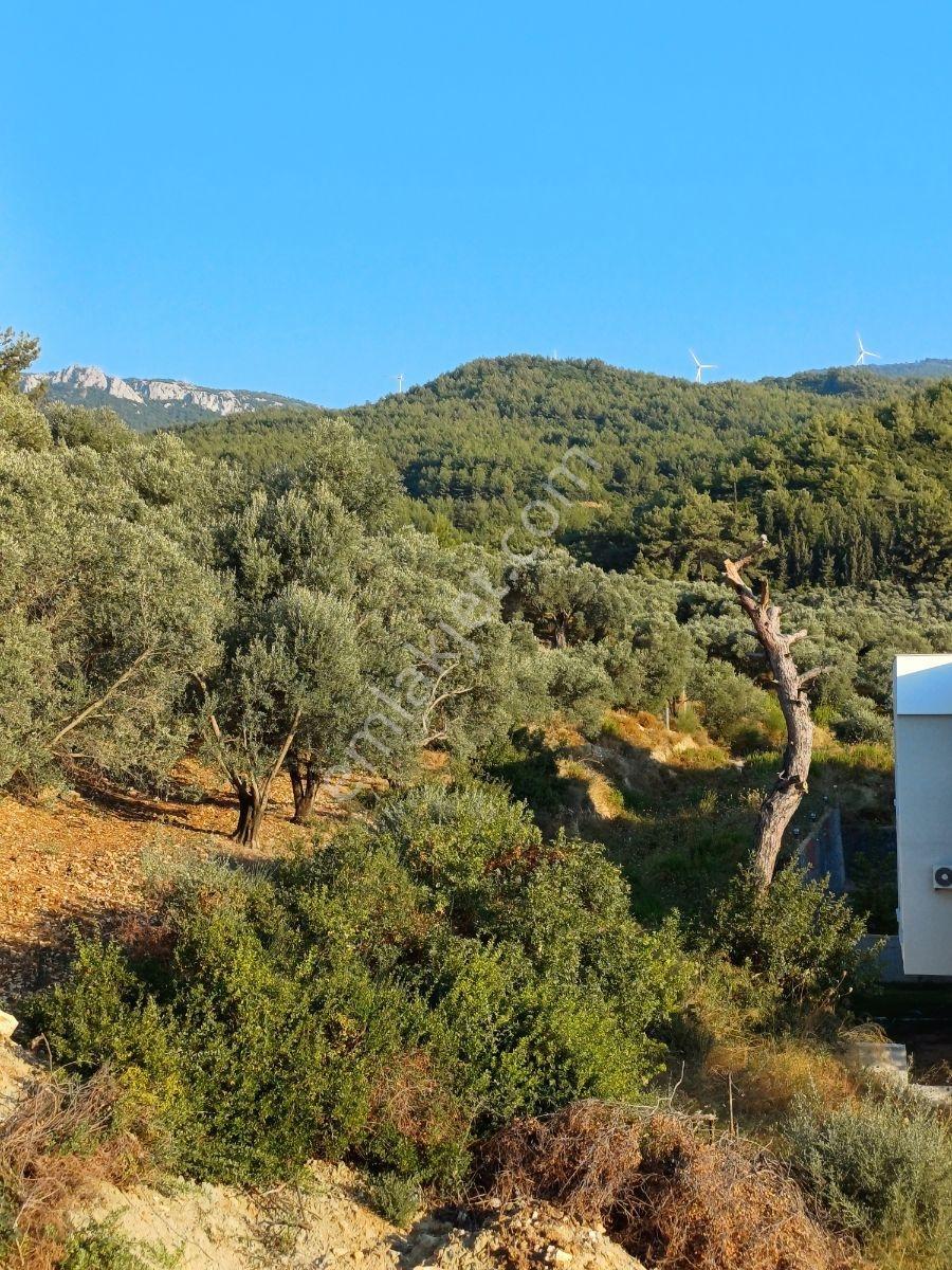 Önü Acık Ferah Kulanışlı Sıfır Kiralık Daire