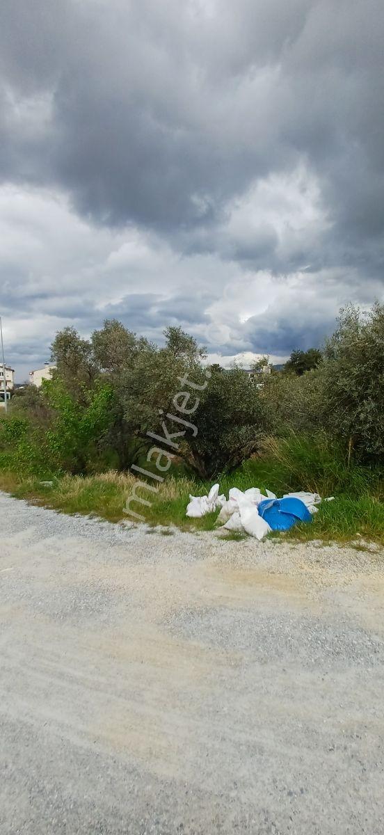 Milli Park Sınırında Deniz Manzaralı Villa Arsası - Görsel 6