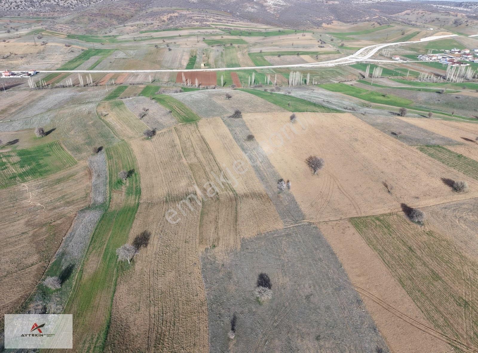 Güneysınır Kayaağzı Mahallesinde 1.977 M² Müstakil Tapulu Tarla - Görsel 2