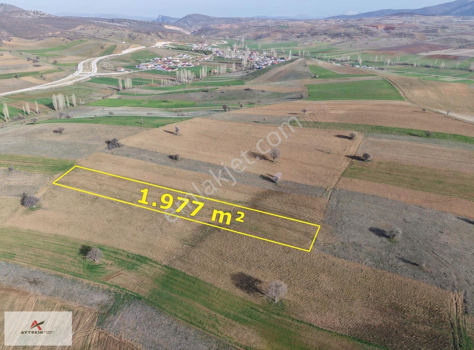 Güneysınır Kayaağzı Mahallesinde 1.977 M² Müstakil Tapulu Tarla - Görsel 5
